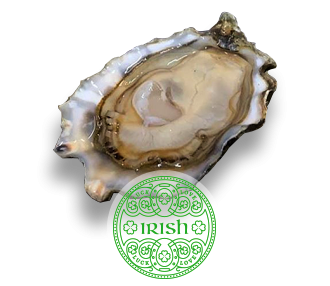 Special Oyster Irish Oysters