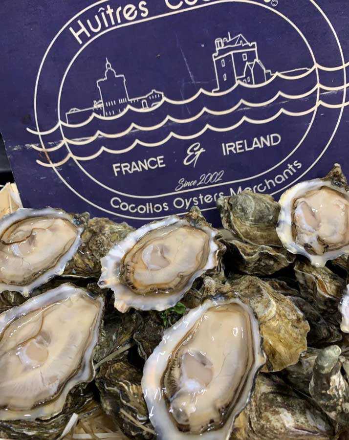 les huîtres Cocollos huîtres Marennes Oléron et huîtres irlandaises