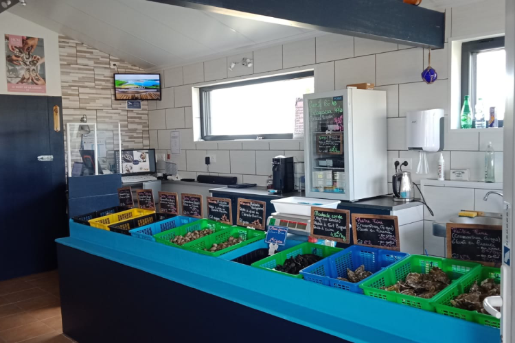 les huîtres Cocollos production et élevage d''huîtres Marennes-Oléron et Spéciales et Plates d'Irlande