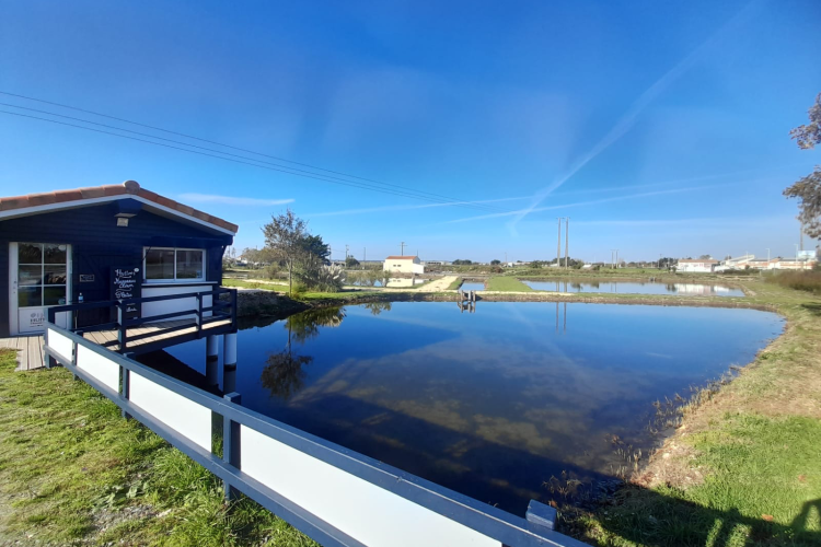 The Cocollos shop in Bourcefranc-le-Chapus | Selection of regional and artisanal products