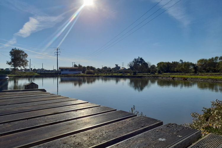 The Cocollos shop in Bourcefranc-le-Chapus | Selection of regional and artisanal products