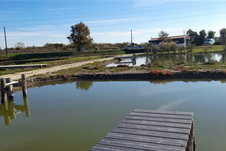 The Cocollos shop in Bourcefranc-le-Chapus | Selection of regional and artisanal products