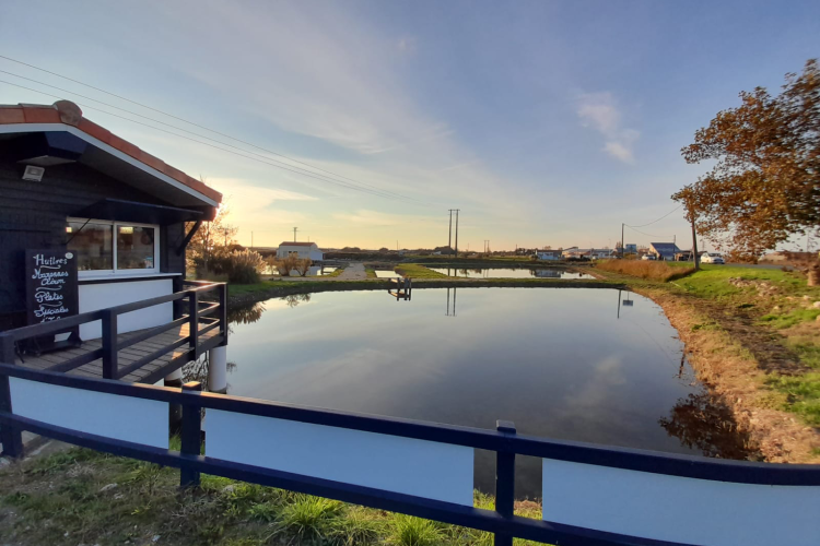 The Cocollos shop in Bourcefranc-le-Chapus | Selection of regional and artisanal products