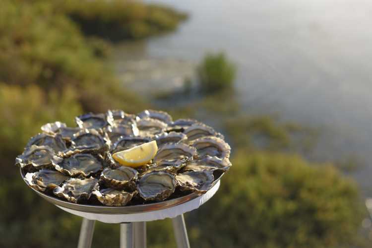 La boutique Cocollos à Bourcefranc-le-Chapus | Sélection de produits régionaux et artisanaux