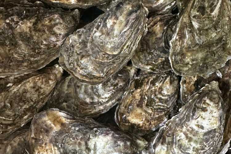 Il negozio Cocollos a Cognac | Selezione di prodotti regionali e artigianali