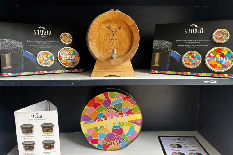 La boutique Cocollos de Cognac | Sélection de produits régionaux et artisanaux