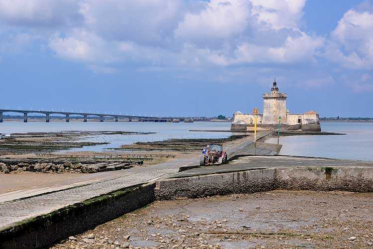 les huîtres Cocollos production et élevage d''huîtres Marennes-Oléron et Spéciales et Plates d'Irlande