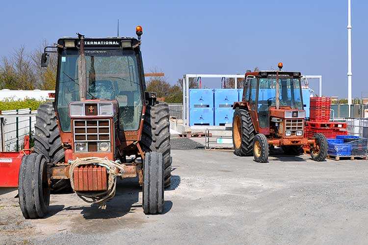 les huîtres Cocollos production et élevage d''huîtres Marennes-Oléron et Spéciales et Plates d'Irlande