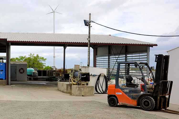 les huîtres Cocollos production et élevage d''huîtres Marennes-Oléron et Spéciales et Plates d'Irlande